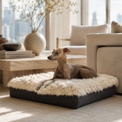 Grand lit pour animaux de compagnie en véritable peau de mouton. Lit orthopédique pour chien à poils longs Oyster