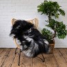 Ivory White Pure Sheepskin Vloerkleed | Natuurlijk Wit IJslands Schapenvacht Vloerkleed