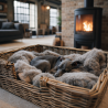 Couvertures de luxe pour chiens en fausse fourrure | Couverture pour chien en fausse fourrure gris cendré | Couverture grise