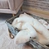 Couverture pour animaux de compagnie Richmond en fausse fourrure crème | Couvertures pour chiens en fausse fourrure crème |