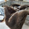 Luxury Fur Dog Blanket | Bison Faux Fur Dog Blanket | Brown Fur Blanket