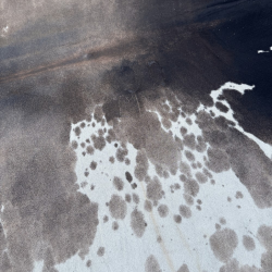 Extra Large Brown & off- White Cowhide Rug | X/Large Brown Cow Skin