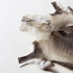 Grande Pelle di Renna Naturale | Pelle di Renna Nordica Naturale