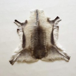 Grande Tappeto in Pelle di Renna Nordica | Grande Pelle di Renna Naturale