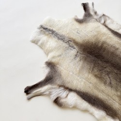 Grande Tappeto in Pelle di Renna Nordica | Grande Pelle di Renna Naturale
