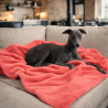 Couverture polaire corail pour chien | Couverture polaire rose pour animaux de compagnie | Couverture polaire pour chien