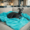 Jadegroene Fleece Huisdierdeken | Fleece Honden Dekens | Groene Honden Deken